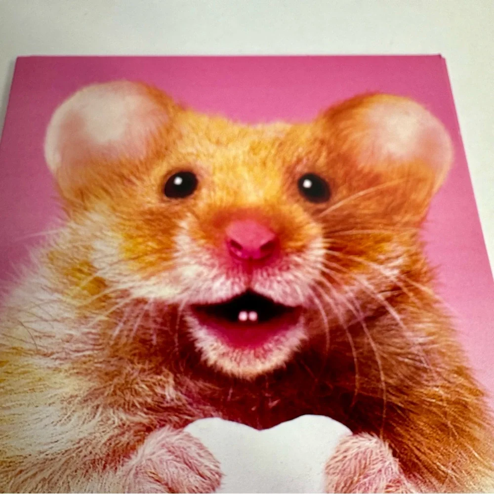 6 Avanti Greeting cards- Mouse holding hugs candy Holiday: Valentines Day